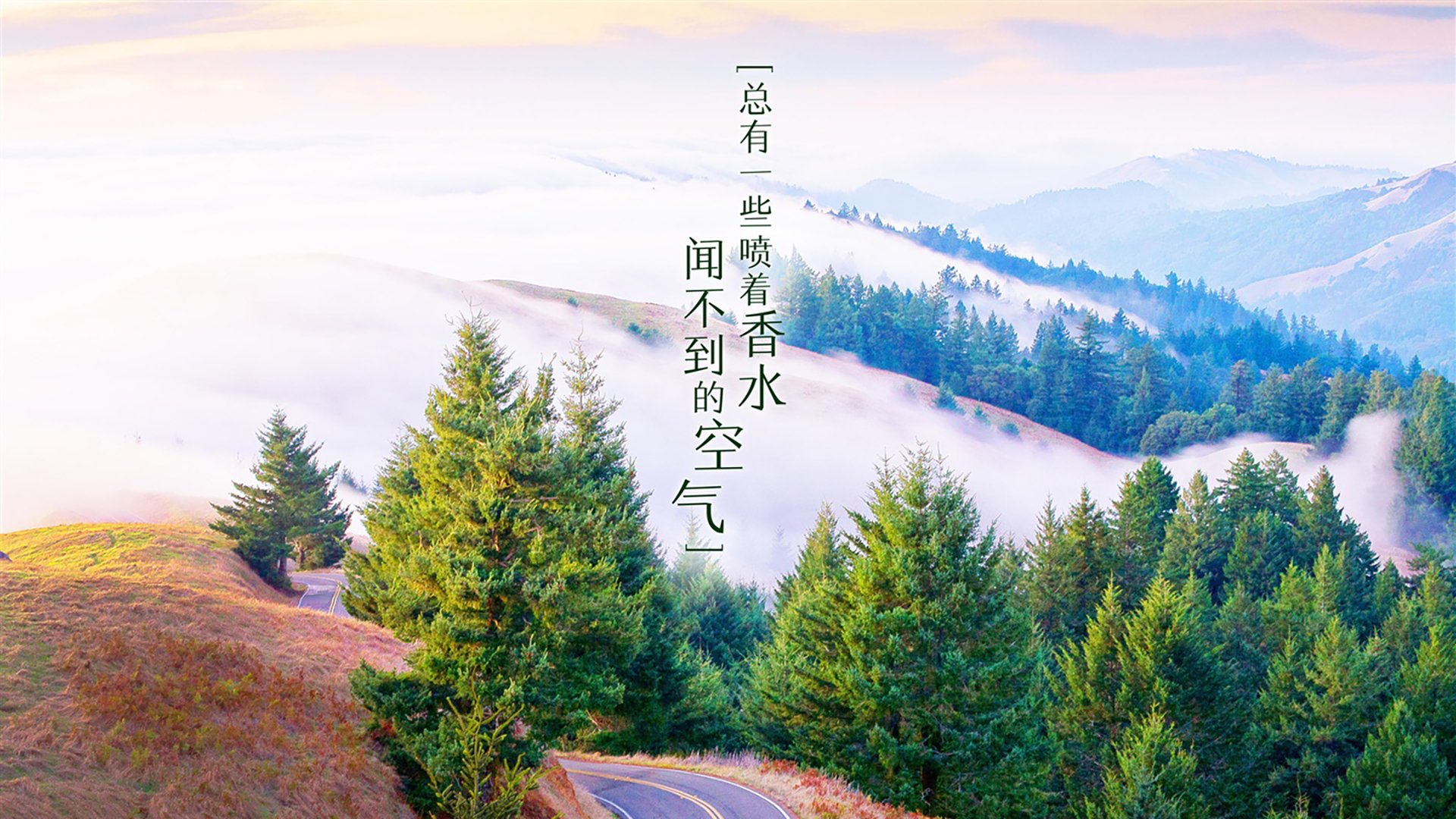 一场备受瞩目的足球比赛将带来何种惊喜？，享受足球比赛