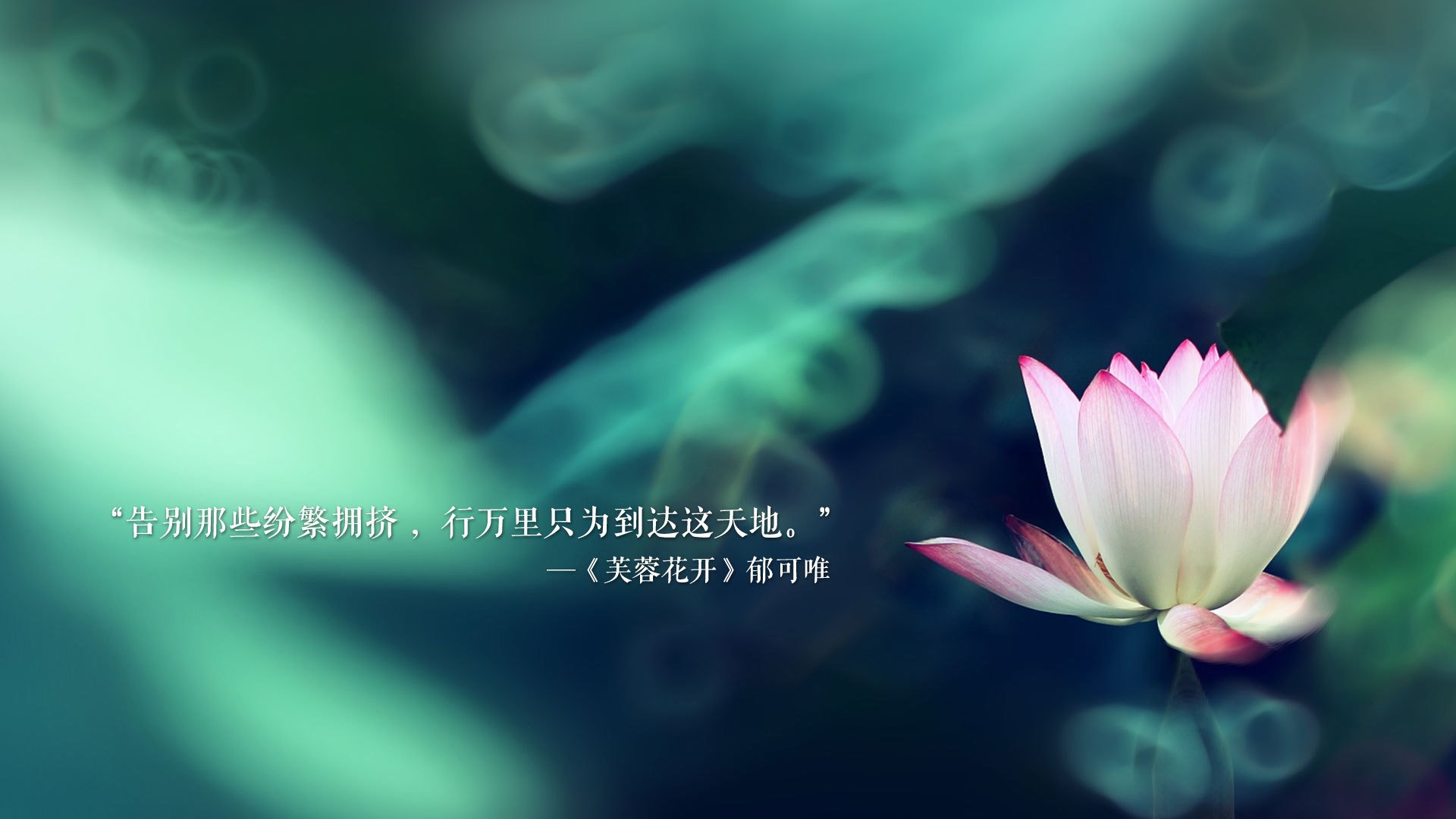 《湖人替补席表现出色，球队深度得到体现》，湖人替补席也很强大