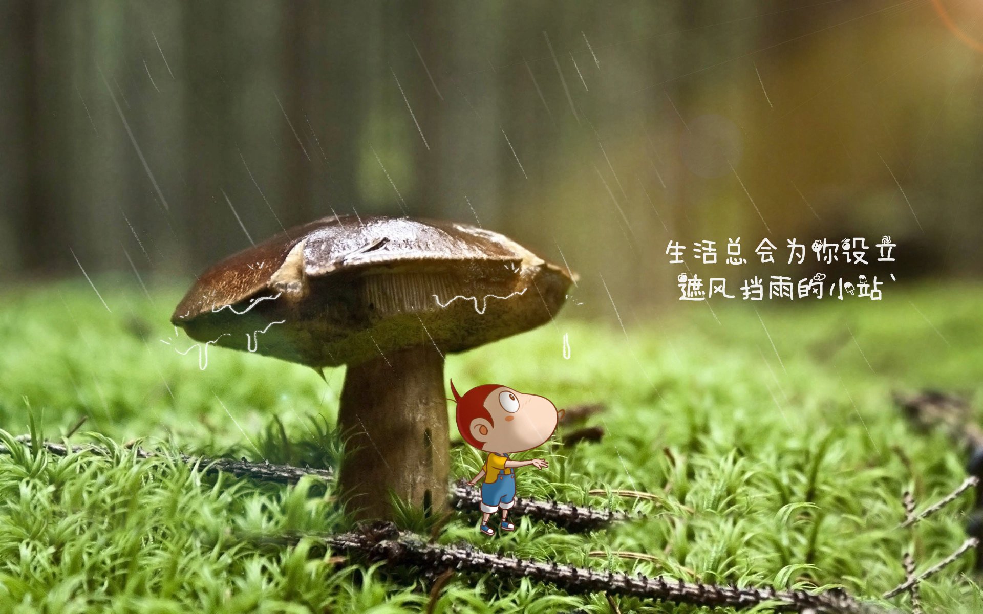 举办瑜伽行业论坛，探讨发展方向，举办瑜伽行业论坛,探讨发展方向的意义