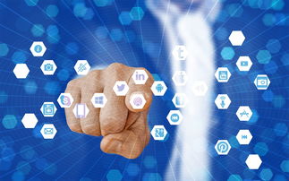 九游官网下载app下载-篮球专项技能教学视频资源创新开发，篮球技术教学